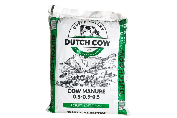 Dutch Cow Manure