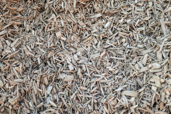 Certified Playground Chips - Image 2