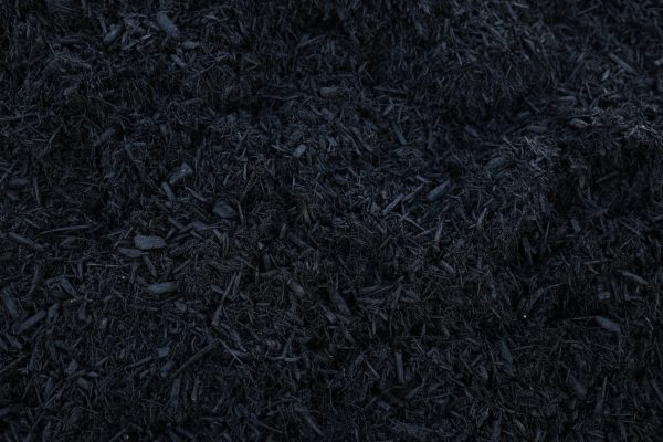 Positive Black - Image 3
