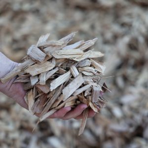 Raw Wood Chips