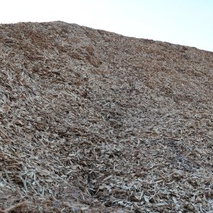Raw Wood Chips - Image 2