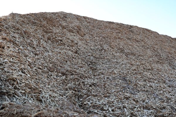 Raw Wood Chips - Image 2