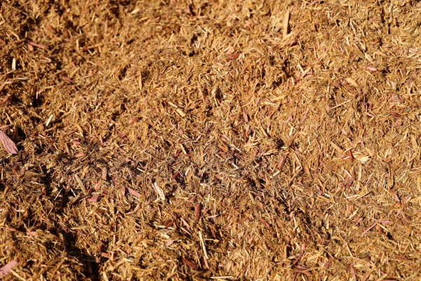 Cedar Mulch - Image 2