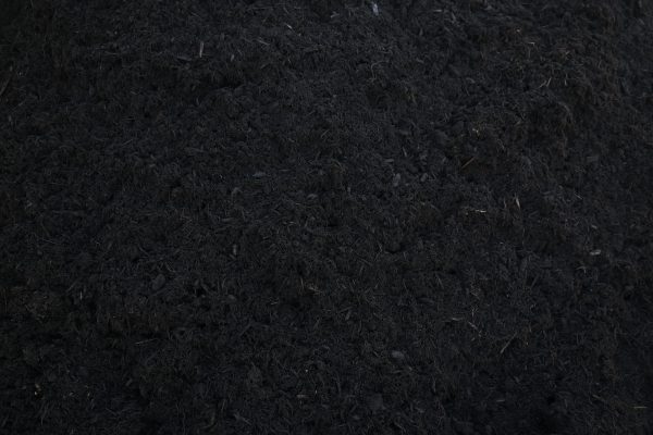 Natural Hardwood - Image 2