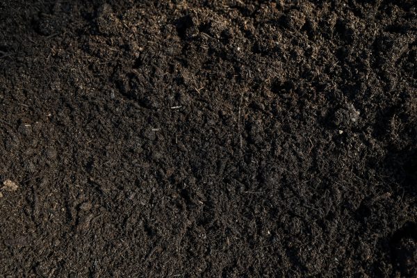 Dutch Cow Manure - Image 2