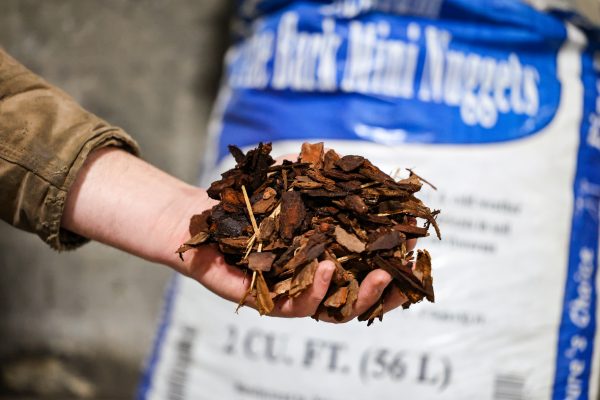 Pine Bark Mini Nuggets - Image 2