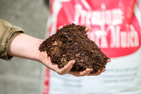 Pine Bark Mulch - Image 2