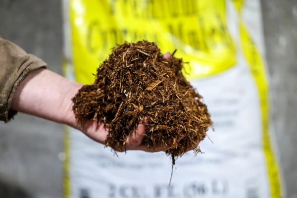 Premium Cypress Mulch - Image 2