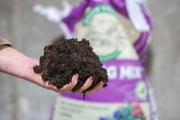 Potting Mix - Image 2