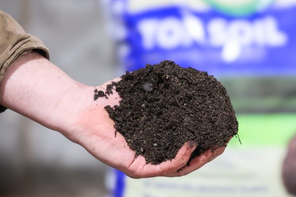 Top Soil - Image 2