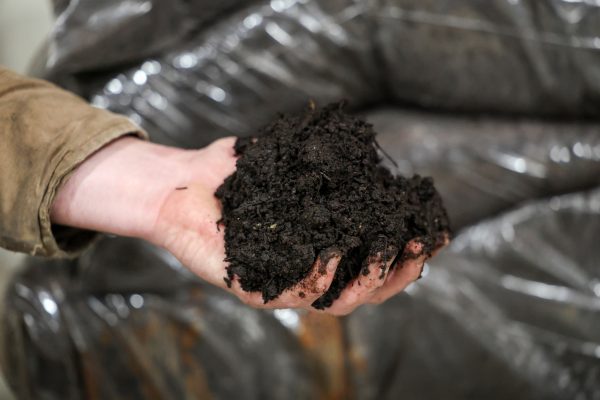 Mushroom Compost - Image 2