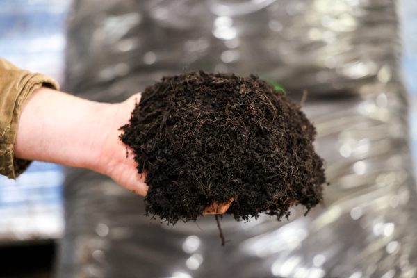 Leaf Compost - Image 2