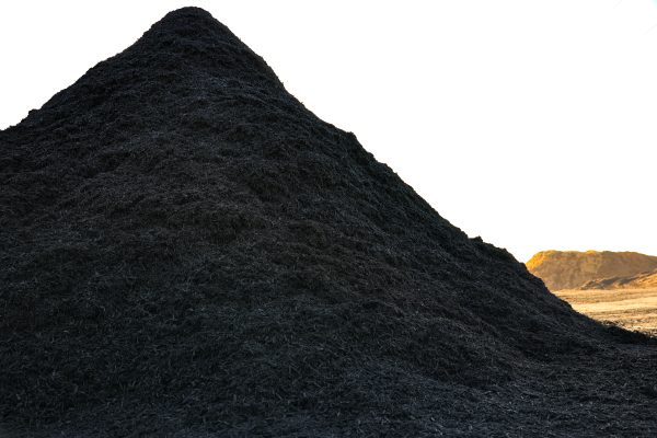 Positive Black - Image 3